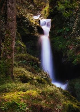 Scenic waterfall