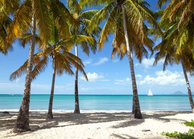 Paradise beach Martinique