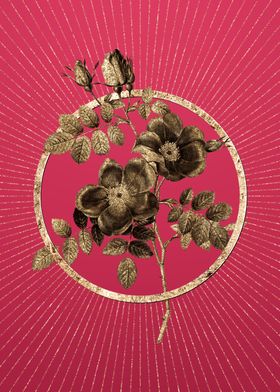 Gold Austrian Briar Rose