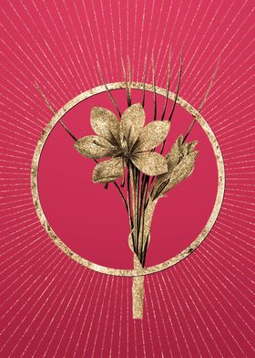 Viva Magenta Autumn Crocus