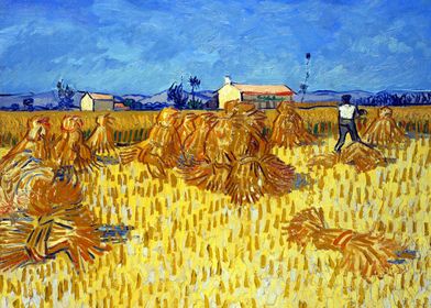 Harvest in Provence