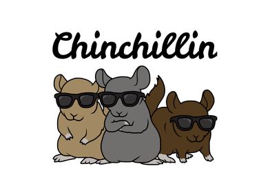 Chinchilla Pet Gift Kids