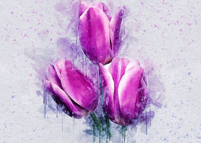 tulips watercolor