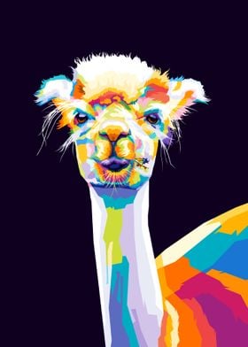 Alpaca Pop art