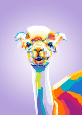 Alpaca Colorful pop art