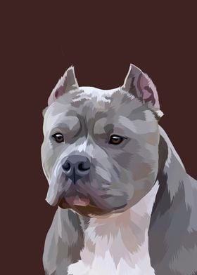 Pitbull