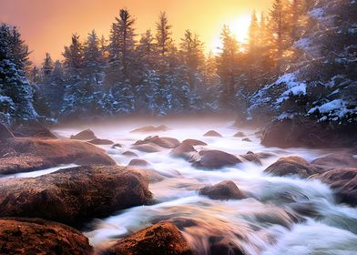 Misty River in Forest 