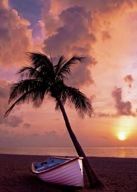 Boat Palm Sunset