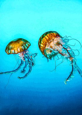 Jellyfish