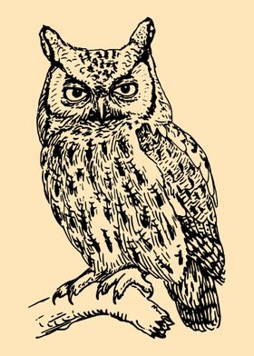 Owl Lovers Art 6