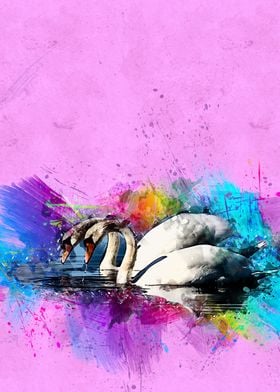 Swan 234