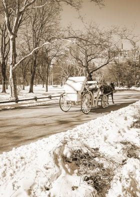 Central Park NYC Sepia