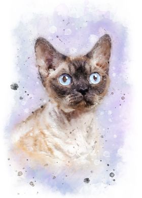 Devon Rex cat watercolor