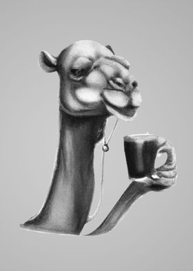 camel drink coffe