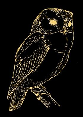 Owl Lovers Art 5 