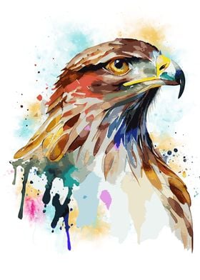 Watercolor Hawk Painting