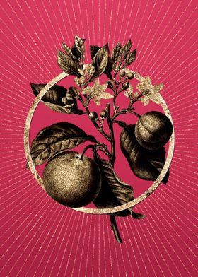 Viva Magenta Bitter Orange