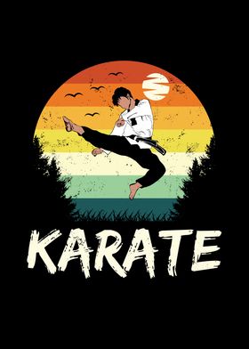 Funny Retro Karate Combat