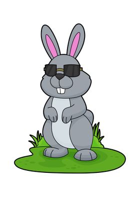 Rabbit Sunglasses