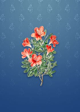 Brick Red Chinese Azalea