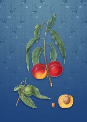 Vintage Walnut Peach