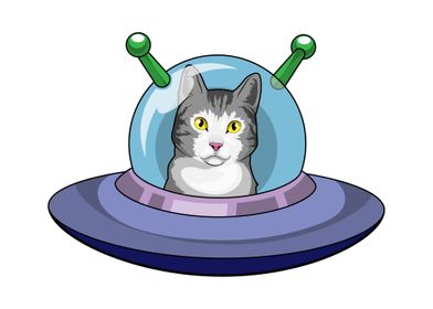 Cat UFO