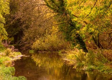 Landscape in Bibury