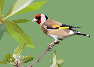 The Goldfinch Bird