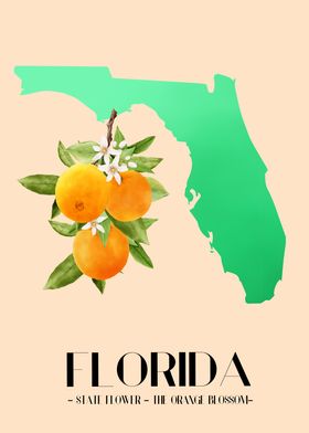 Floridas Orange Blossom