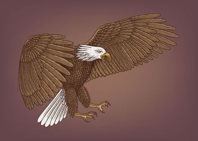 Bald eagle arwork
