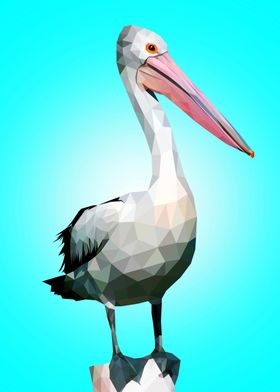 Pelican