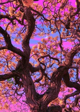 Trippytrees