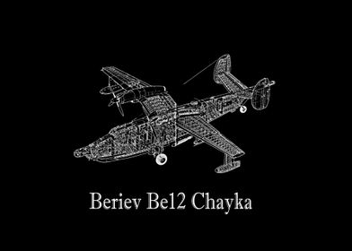 Beriev Be12 Chayka 