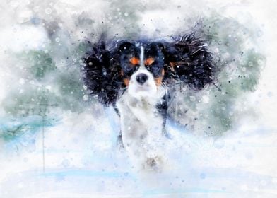 Cavalier winter watercolor