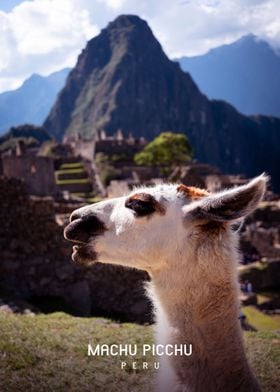 Machu Picchu 