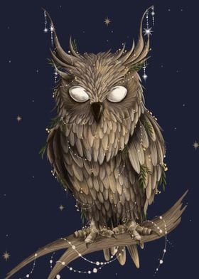 Owl Lovers Art 20