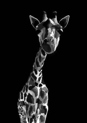 Giraffe Black and white