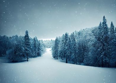 A dreamy snowscape