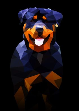 Rottweiler