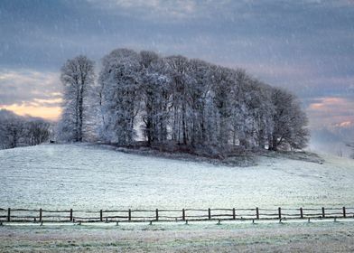 A Winter scene