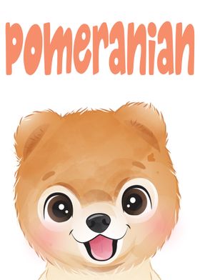 Pomeranian