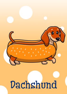 Dachshund