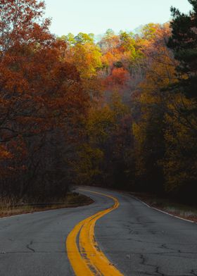 Ouachita National Forest