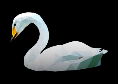 Swan