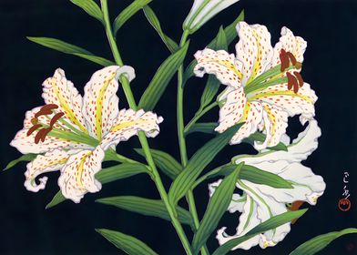 Ukiyo e Golden Banded Lily