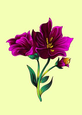 Purple beautiful lily