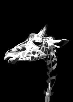Giraffe Black and white