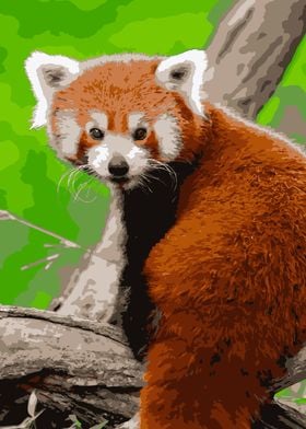 Red Panda Color Mix