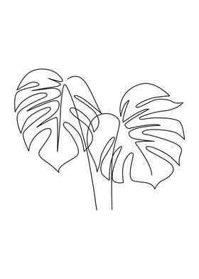 Floral Monstera One Line