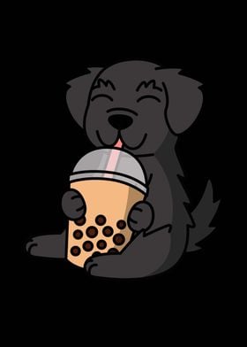 Newfoundland Dog Boba